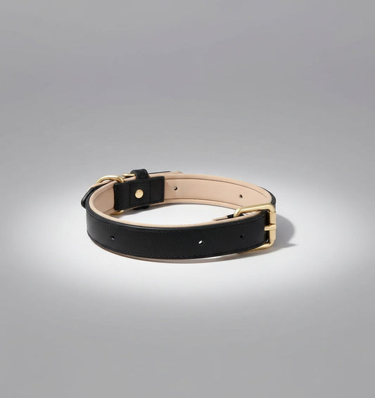 Stijlvolle Hondenhalsband voor Avonturiers