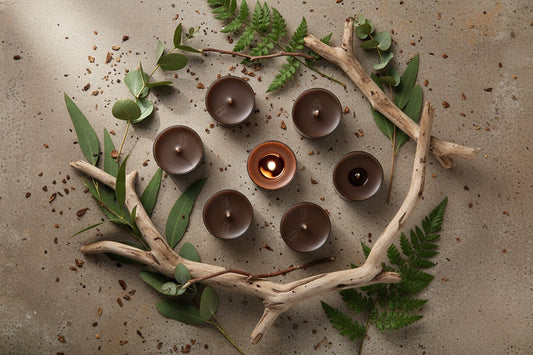 Bolsius Geurtheelichten Oud Wood