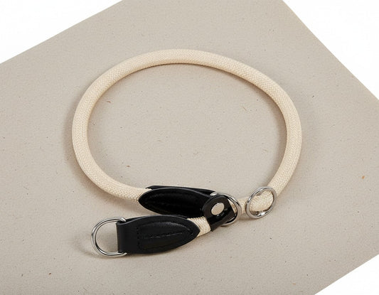 Stijlvolle Beige Hondenhalsband