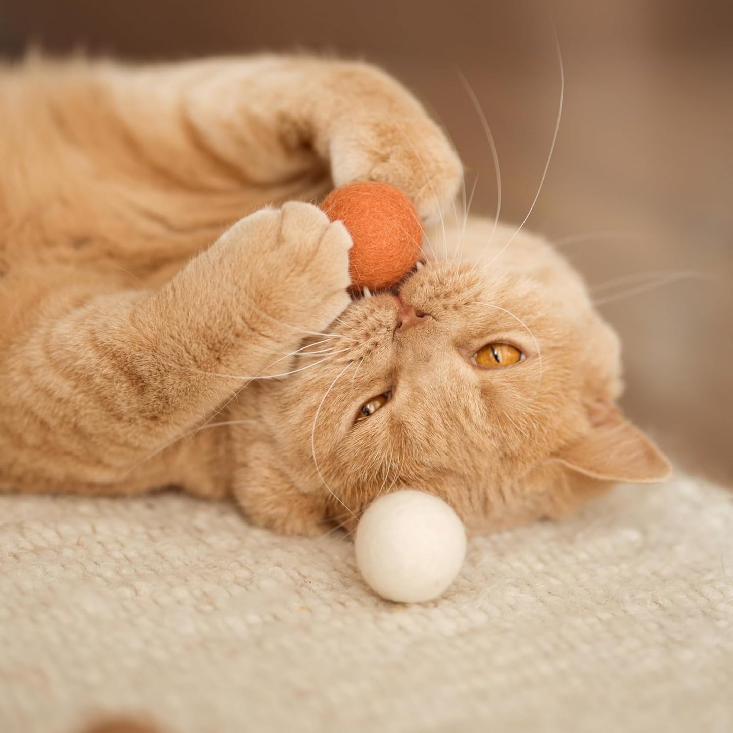 Zachte Kattenbal Speeltjes