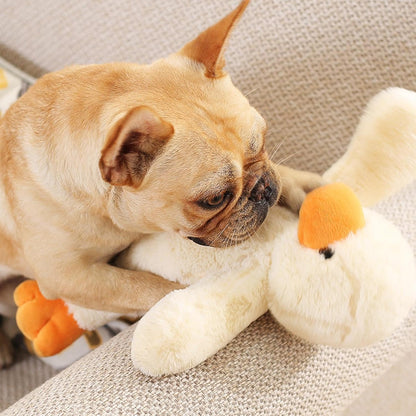 Knuffelige Squeaky Speelgoed Hond