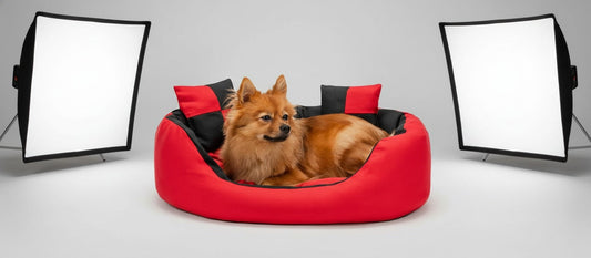 4-in-1 Hondenbed voor Comfort