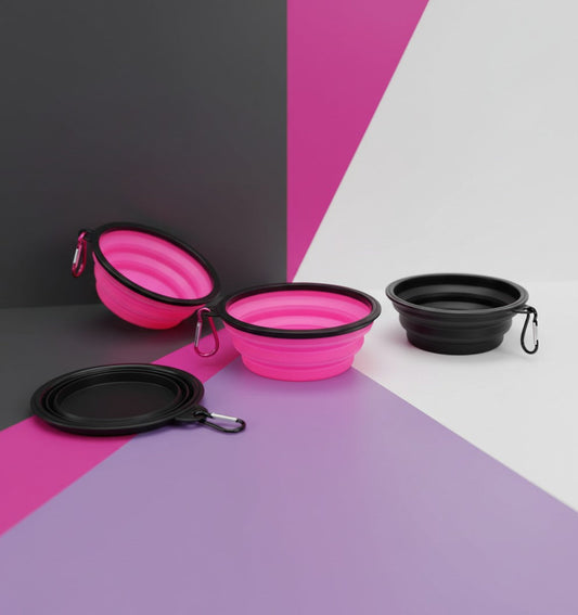 Handige Opvouwbare Hondenbakken Set